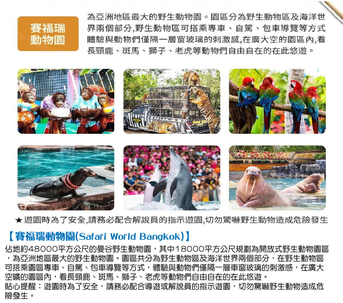 經典泰國浪漫沙美芭達雅度假6日行程特色圖片1