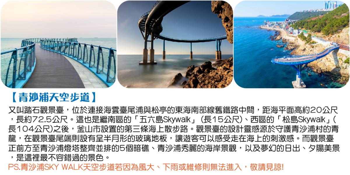 韓國釜山-濱海拾光深呼吸之旅5日-(六人成行無購物)行程特色圖片1