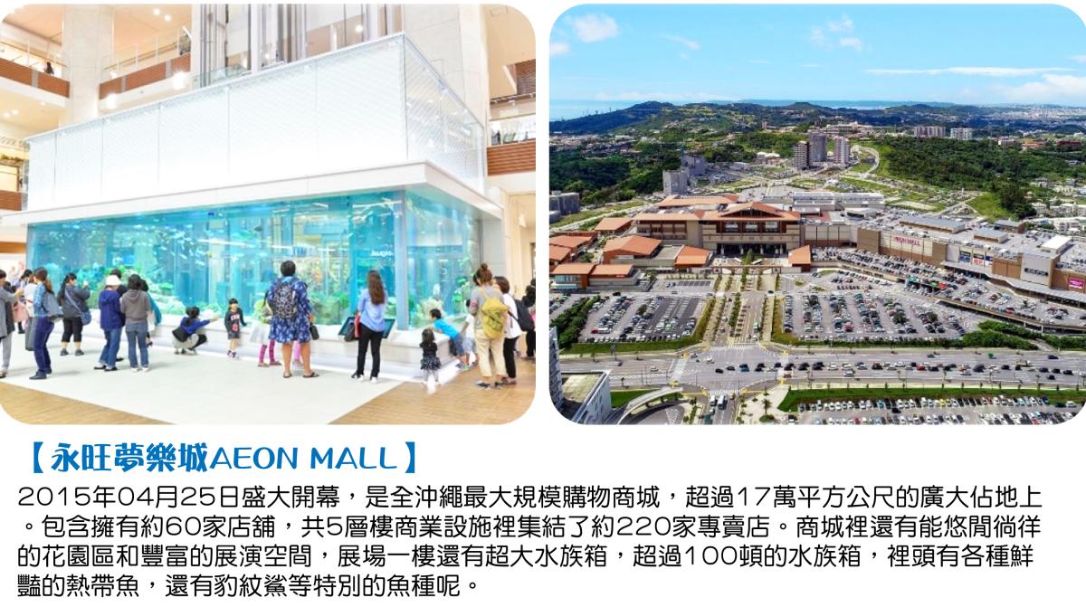 沖繩の夏季時光︱走進南國天堂感受熱情海岸4日行程特色圖片1