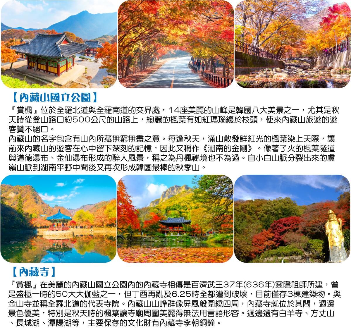 韓國賞楓限定團︱沿著紅葉，慢慢走進韓國的秋天5日行程特色圖片1